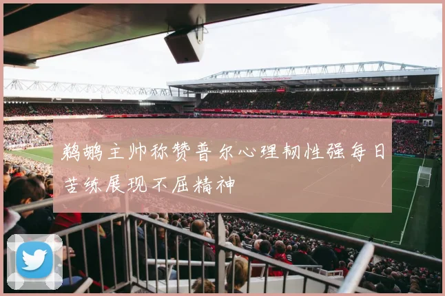鹈鹕主帅称赞普尔心理韧性强每日苦练展现不屈精神