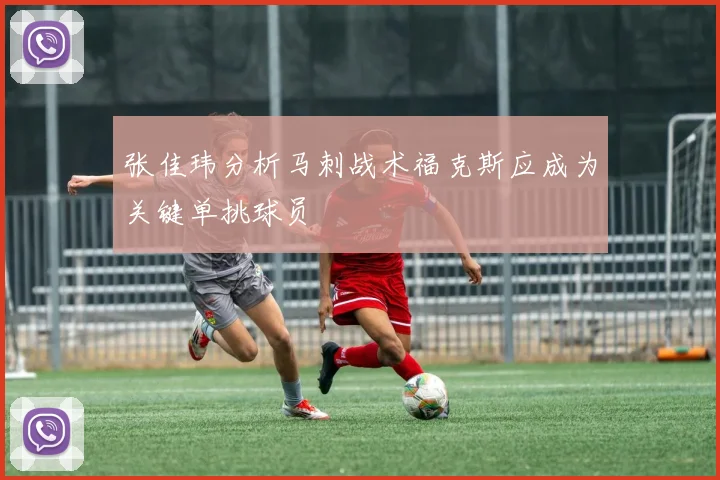 张佳玮分析马刺战术福克斯应成为关键单挑球员