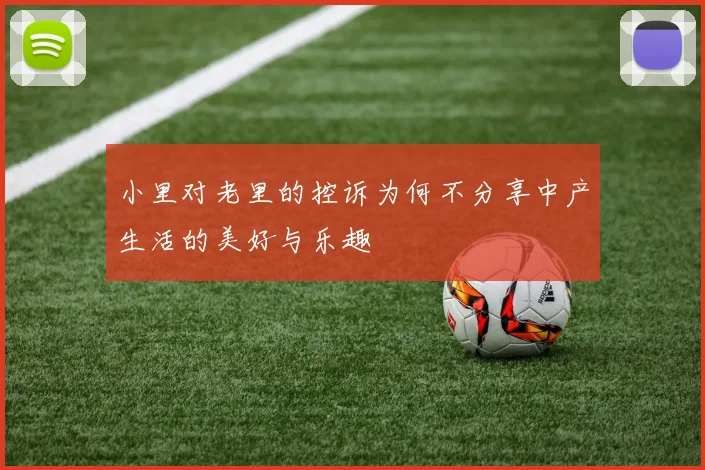小里对老里的控诉为何不分享中产生活的美好与乐趣