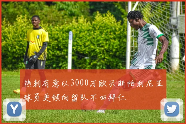 热刺有意以3000万欧买断帕利尼亚球员更倾向留队不回拜仁